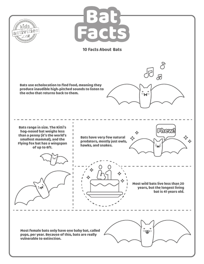 Fun Bat Facts For Kids To Print And Learn Kids Activities Blog