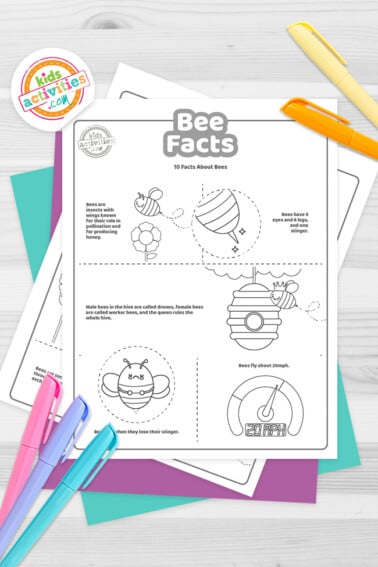 Bee facts coloring pages