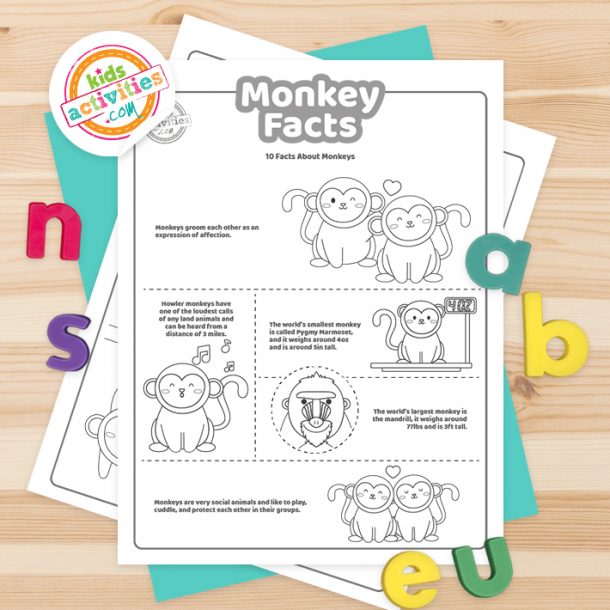 Printable Fun Facts About Monkeys for Kids To Print and Learn | Kids ...