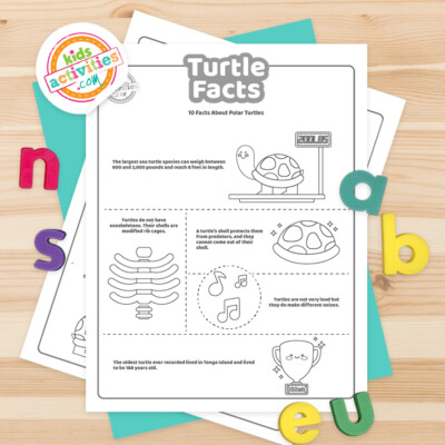 Fun Turtle Facts For Kids To Print and Learn | Kids Activities Blog