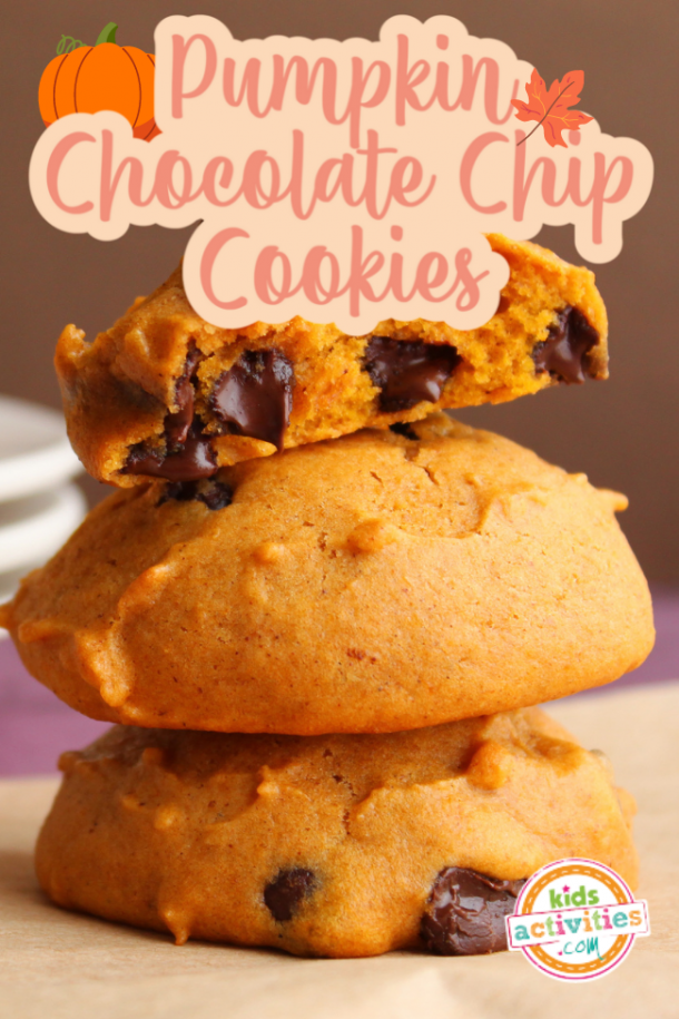Healthy Pumpkin Chocolate Chip Cookies Kids Activities Blog healthy-pumpkin-chocolate-chip-cookies-kids-activities-blog