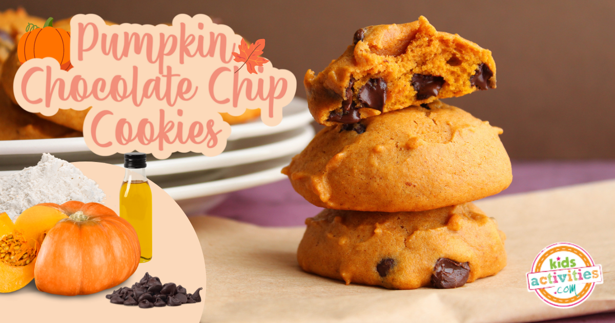 Simple Pumpkin Chocolate Chip Cookie Recipe Kids Activities Blog