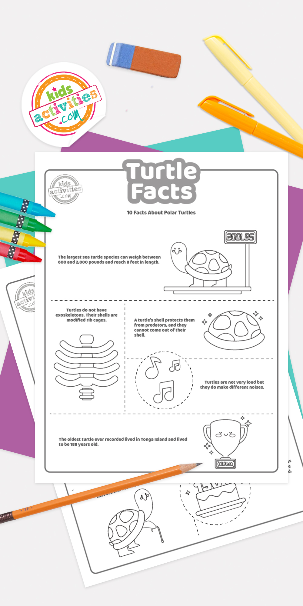 Fun Turtle Facts For Kids To Print and Learn | Kids Activities Blog