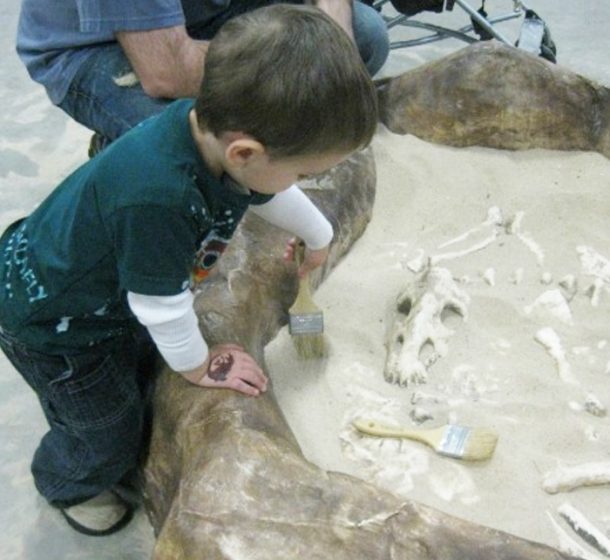 36 Fun Preschool Dinosaurs Art Ideas & Activities | Kids Activities Blog