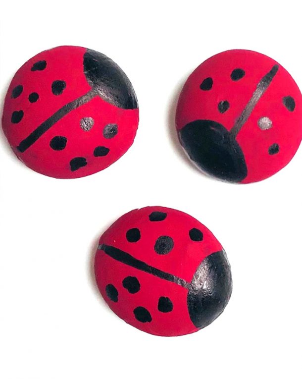 Super Adorable Preschool Ladybug Crafts