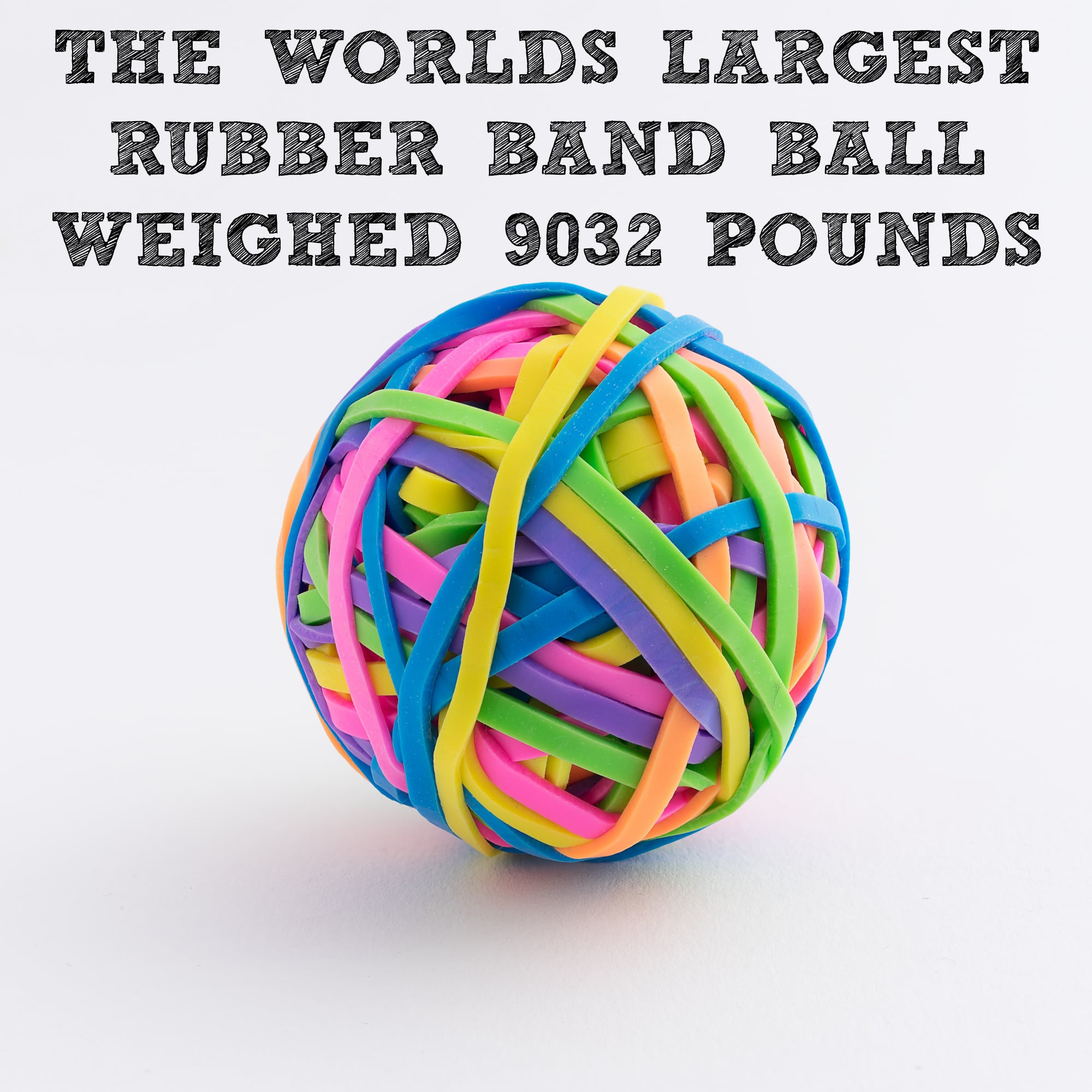 50 More Random Facts You Won't Believe Are True Kids Activities Blog