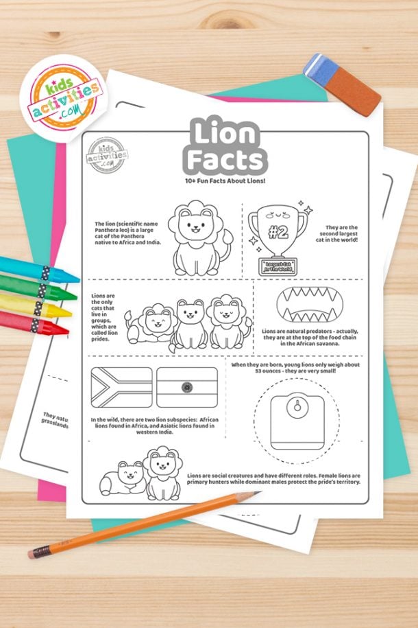 Fun Lion Facts That You Didn T Know About Parentingbest Fun Lion Facts That You Didn T Know About Parentingbest