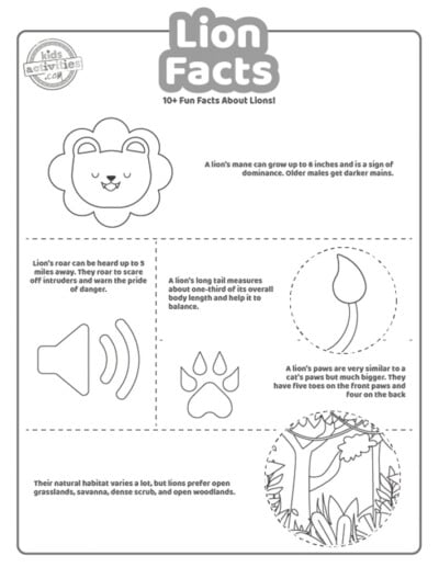 Fun Lion Facts That You Didn't Know About! | Kids Activities Blog