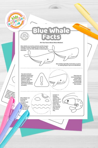 Black and white coloring pages with blue whale facts lying on top of blue-green and purple sheets with multicolored markers on a gray background.