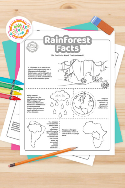 10+ Rainforest Facts for Kids + Printable Worksheets | Kids Activities Blog
