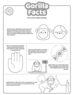 Interesting Gorilla Facts for Kids to Print &amp; Play | Kids Activities Blog