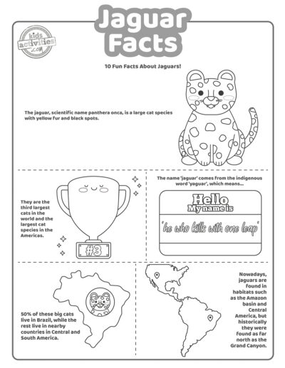Fun Jaguar Facts for Kids: Print &amp; Play Kids Activities Blog