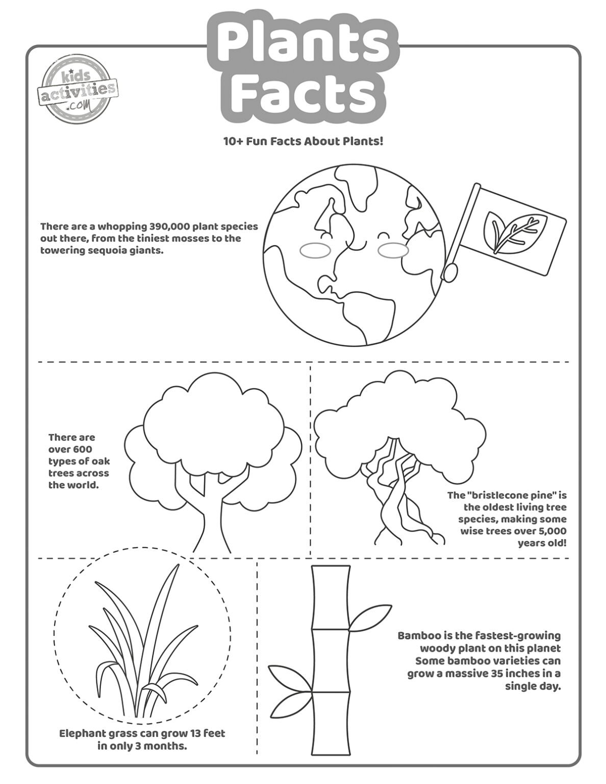 Fun (band) visual data 4