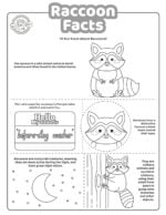 Cute & Adorable Raccoon Facts Kids Activities Blog