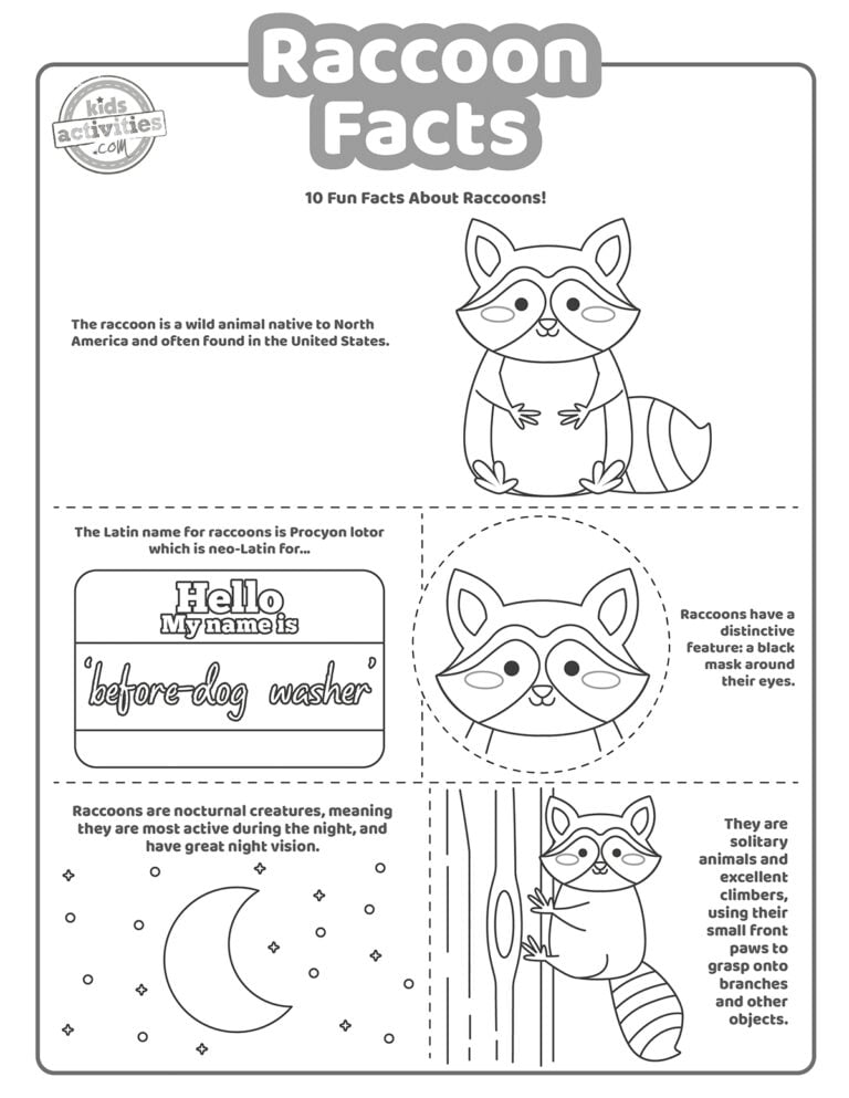 Cute & Adorable Raccoon Facts Kids Activities Blog
