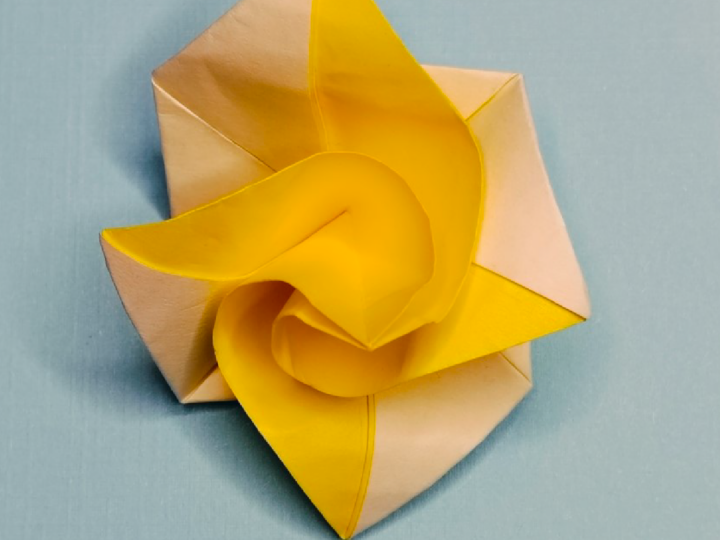 Making Roses Origami How To Make An Origami Rose With Construction Paper How To Make Large