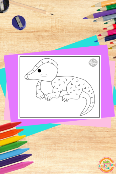 Pangolin coloring page- black and white printed pdf file on wood background with coloring supplies and coloring accessories-kids activities blog