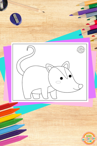 Opossum coloring page- black and white printed pdf file coloring sheet on wood background with coloring supplies and accessories- kids activities blog