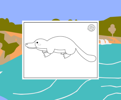 Super Cute Platypus Coloring Page For Kids | Kids Activities Blog