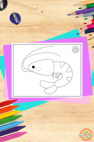 Shrimp coloring page- printed pdf file black and white on a wooden background with coloring supplies and colorful accessories- kids activities blog