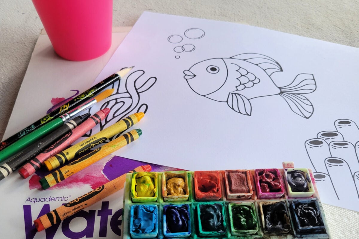 supplies needed for underwater scene watercolor art - pencils, paintbrushes, crayons, paper, water