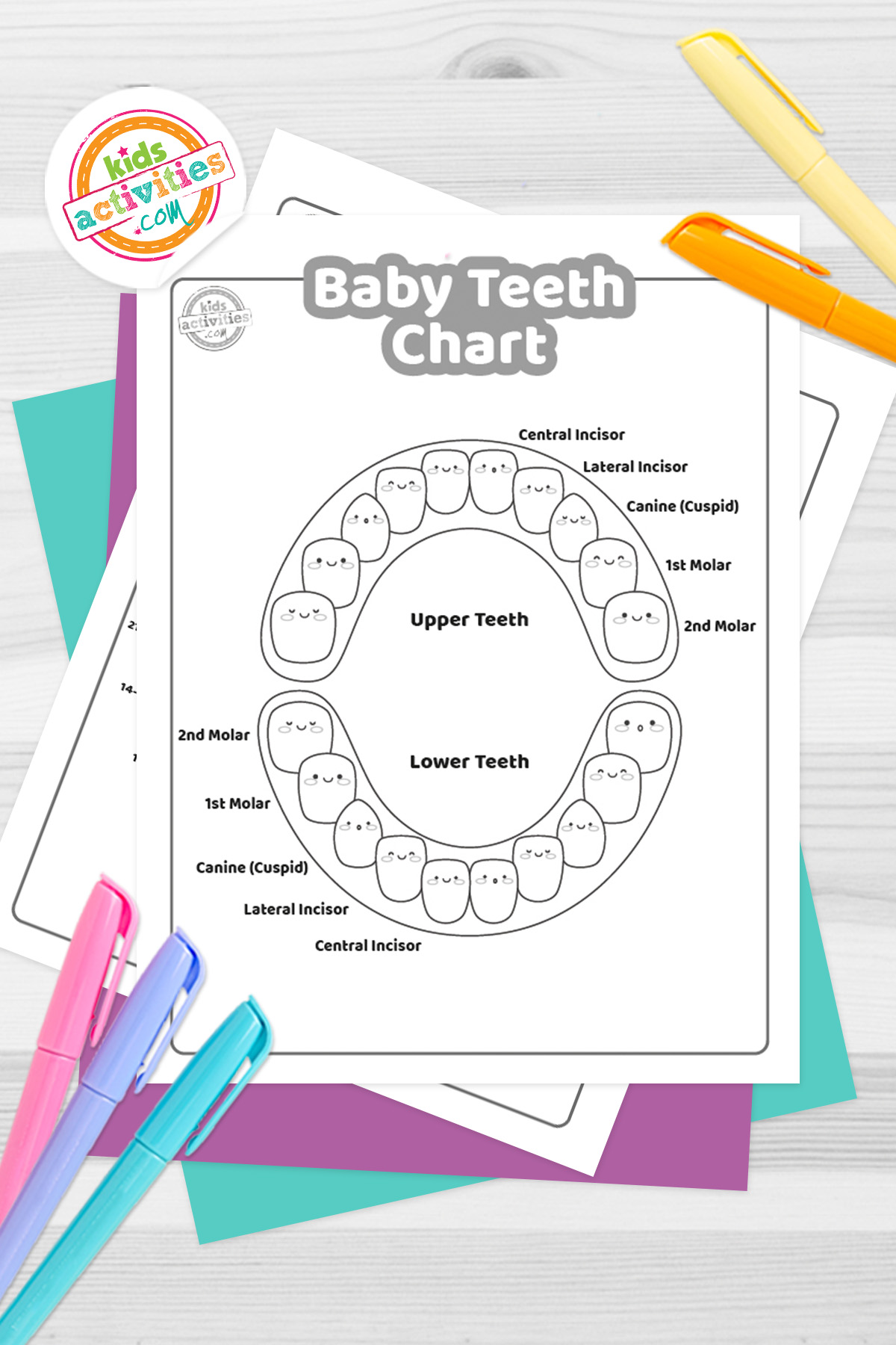 Printable Tooth Chart With Numbers And Letters Printable Tooth Chart With Numbers And Letters