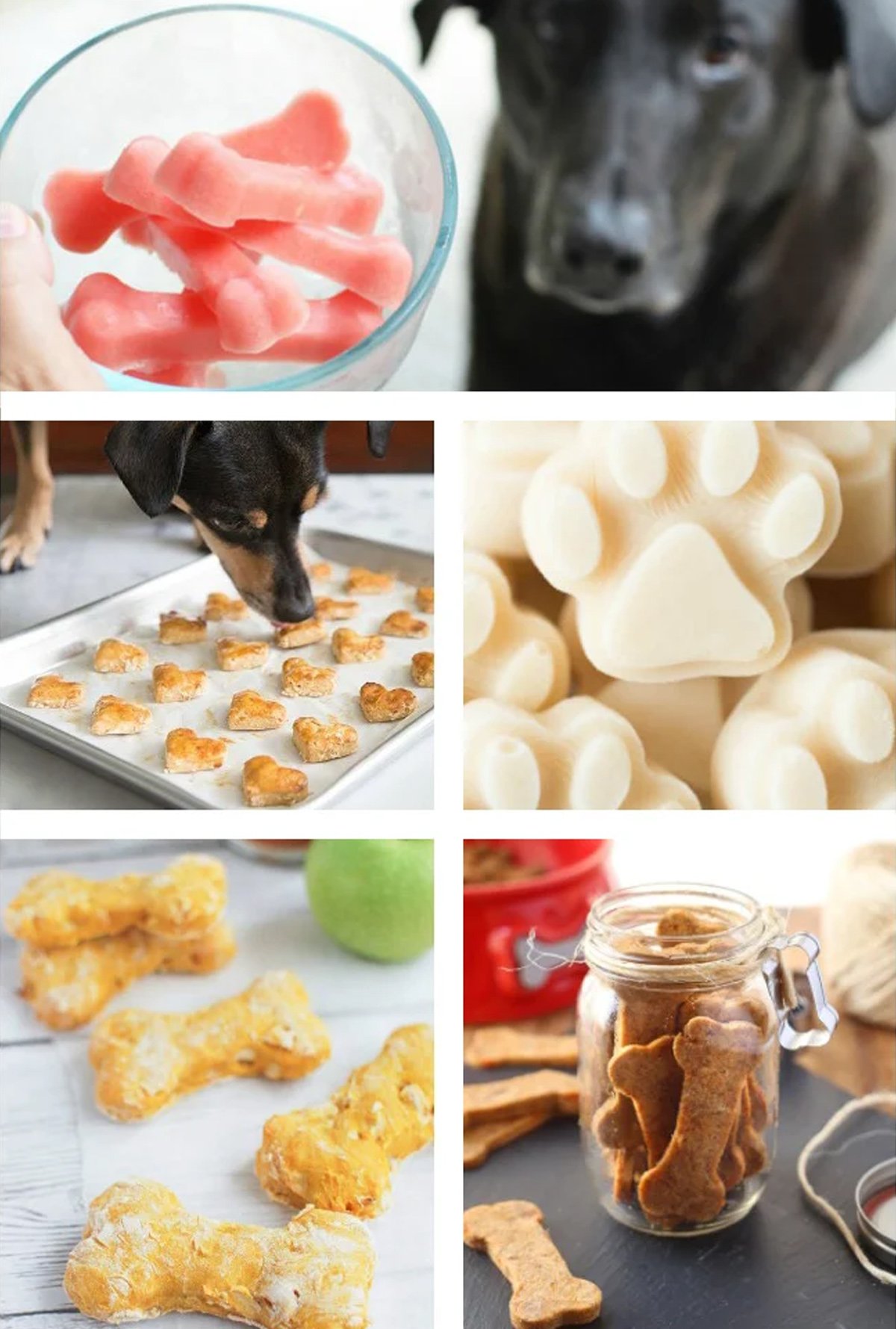Collage of dog treats with different shapes.