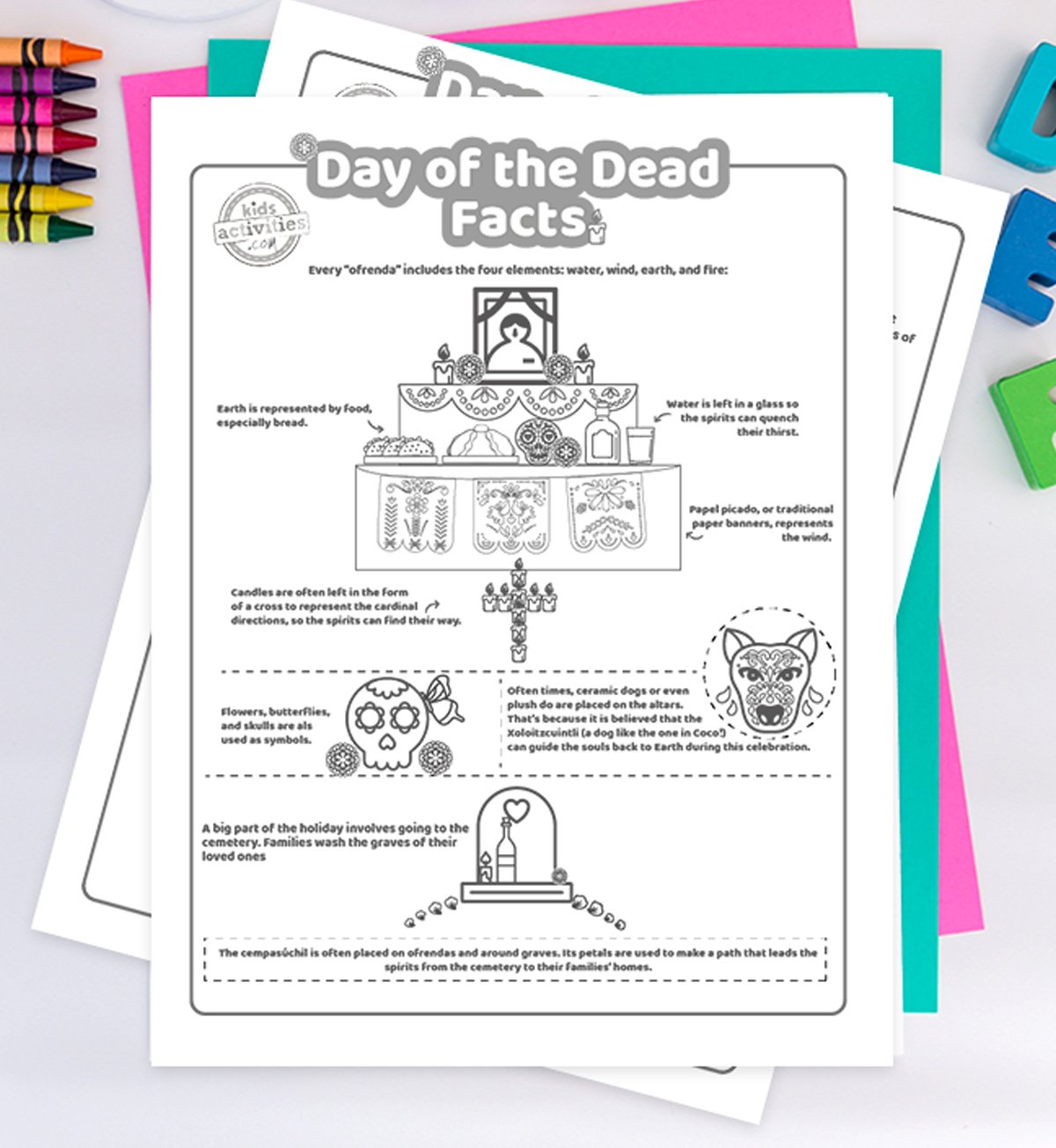 Day of the dead facts coloring pages on top of a gray background.