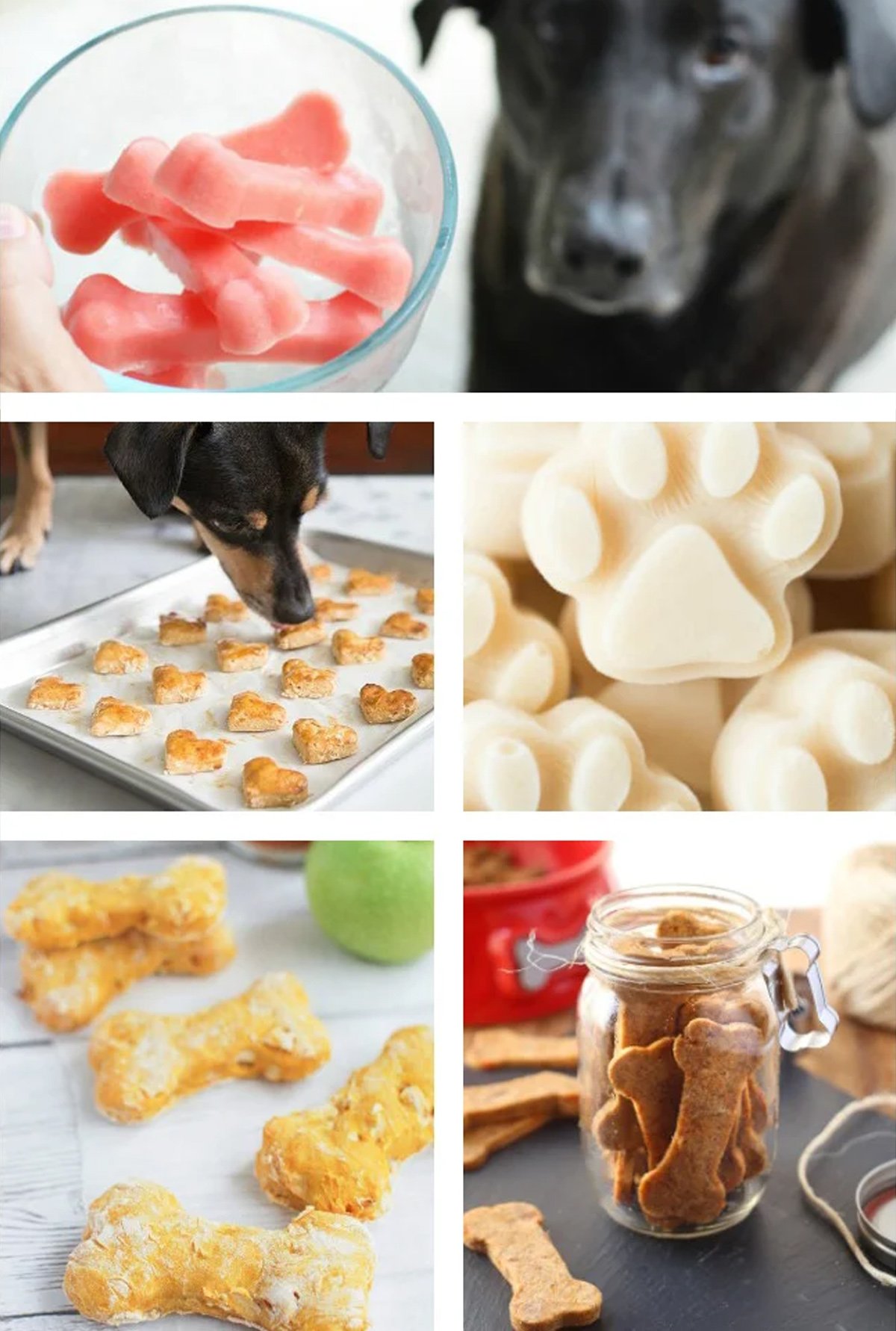 A collage of homemade dog treats to celebrate German Shepherd day.
