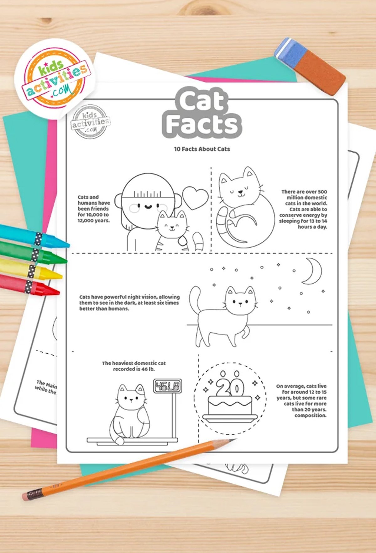 Black and white cat facts coloring pages lying on top of blue-green and purple sheets with assorted crayons on a brown background.