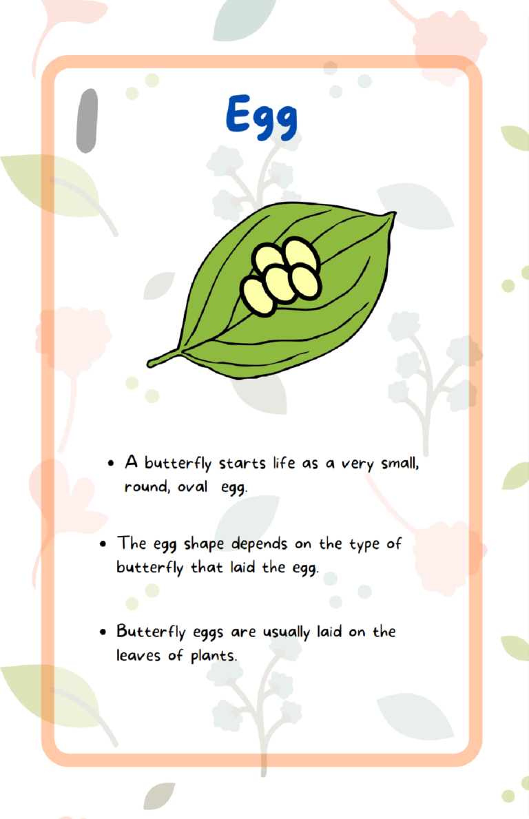 Explore the Butterfly Lifecycle with this Fun Printable Set Kids ...