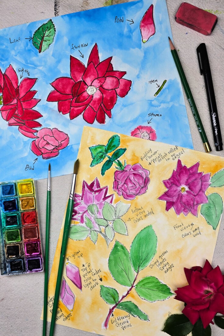 Nature Study Art Project for Kids