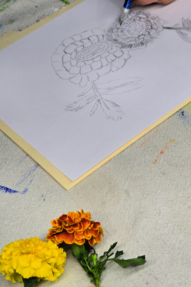 Timed Drawing Art Project for Older Kids • Kids Activities Blog ...
