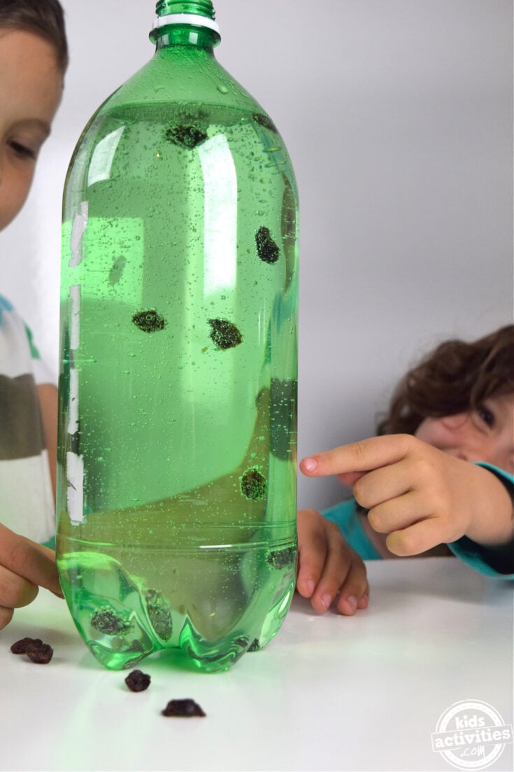 Raisin Science Experiment