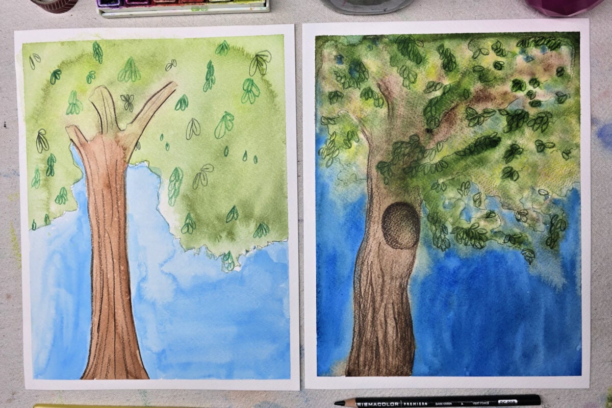 completed watercolor tree paintings with colored pencil details - kids activities blog