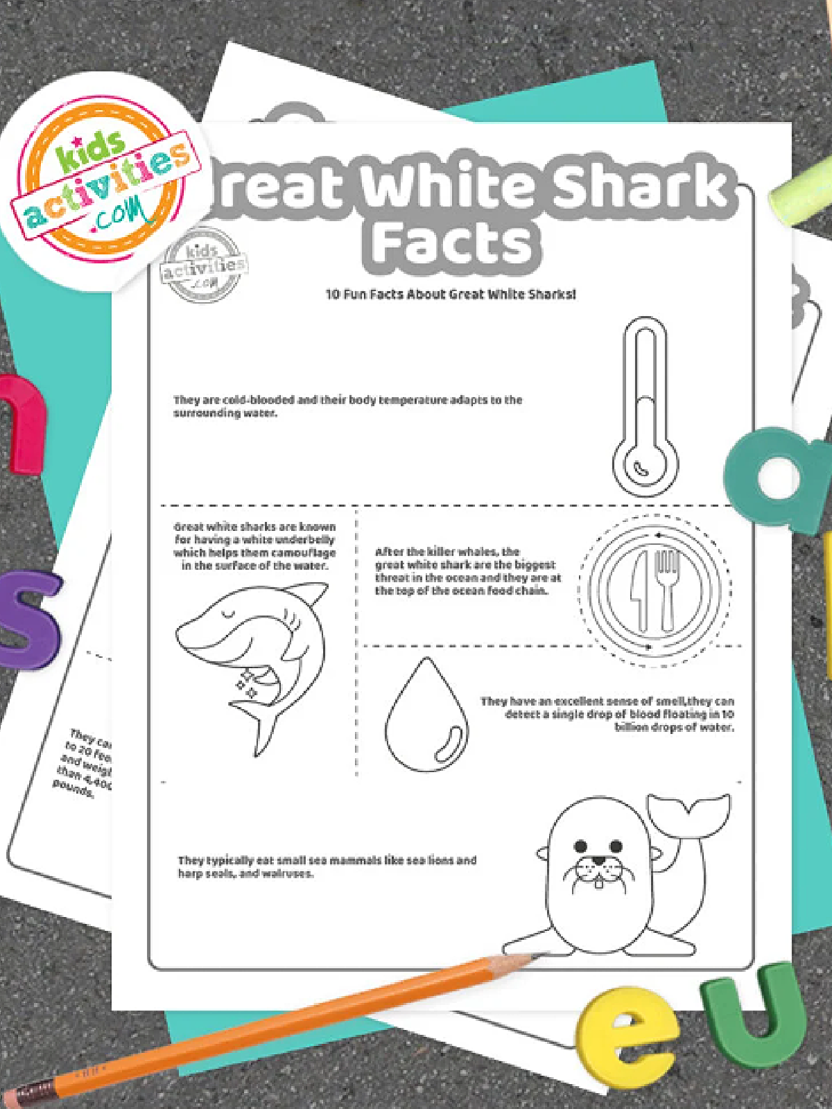 Shark Printables- Great white shark facts black and white printed pdf file-Kids Activities Blog