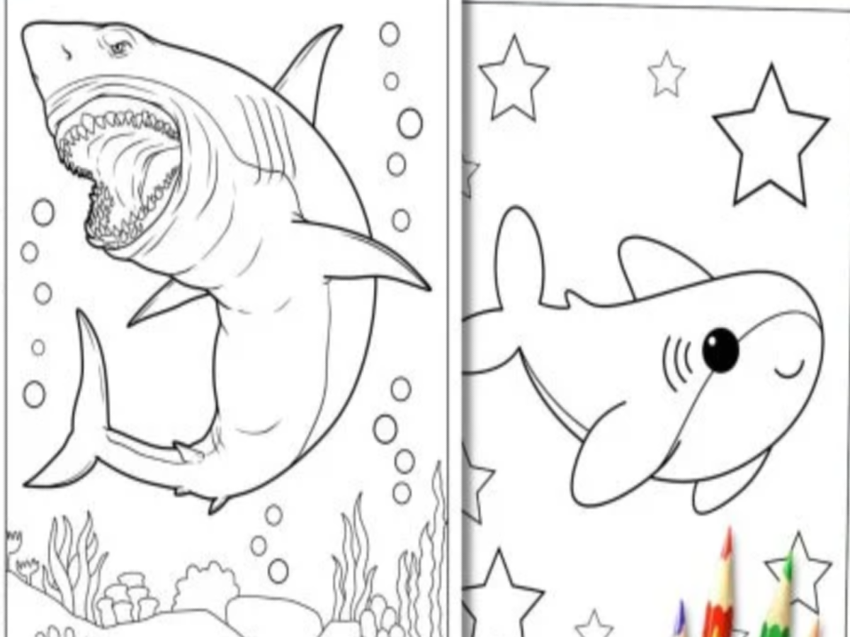 Shark Coloring Sheets- black and white coloring pages printed pdf file- kids activities blog