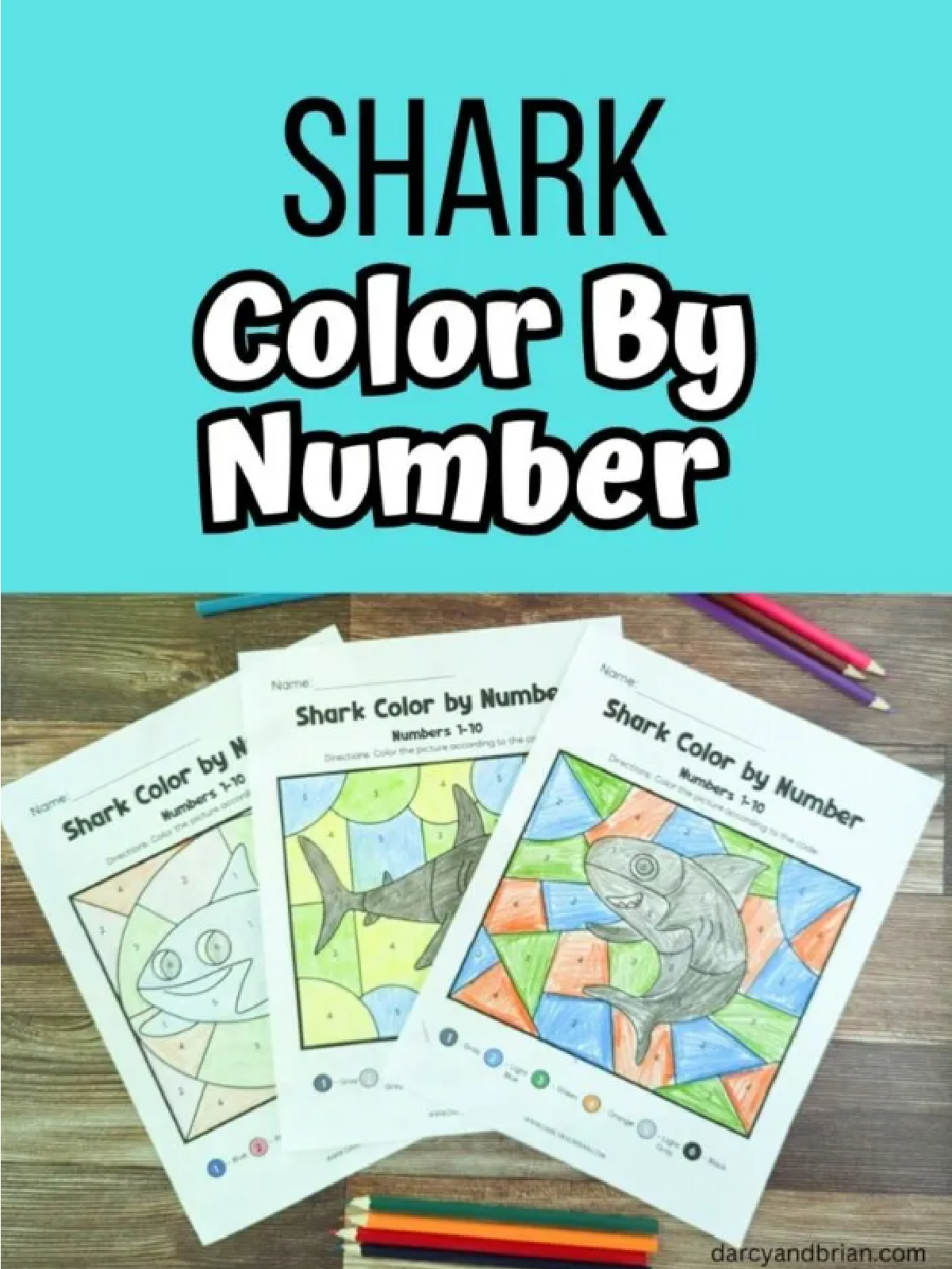 Shark Color By Number- Colored color by number with text-Kids Activities Blog