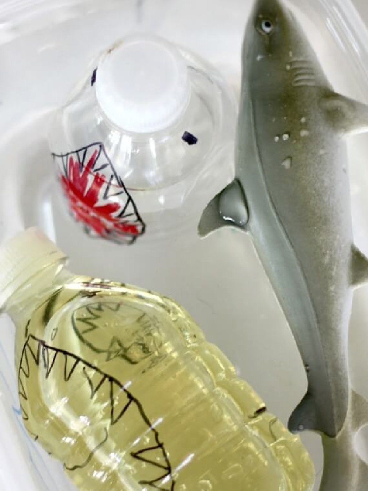 Shark Science- floating shark toys with bottles in water- kids activities blog