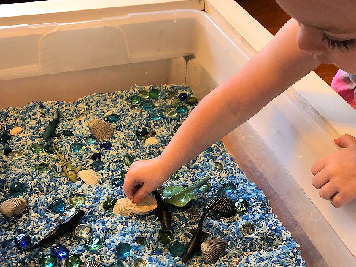 Shark Sensory Bin- Blue rice, shells, and sharks in a bin with a hand- kids activities blog