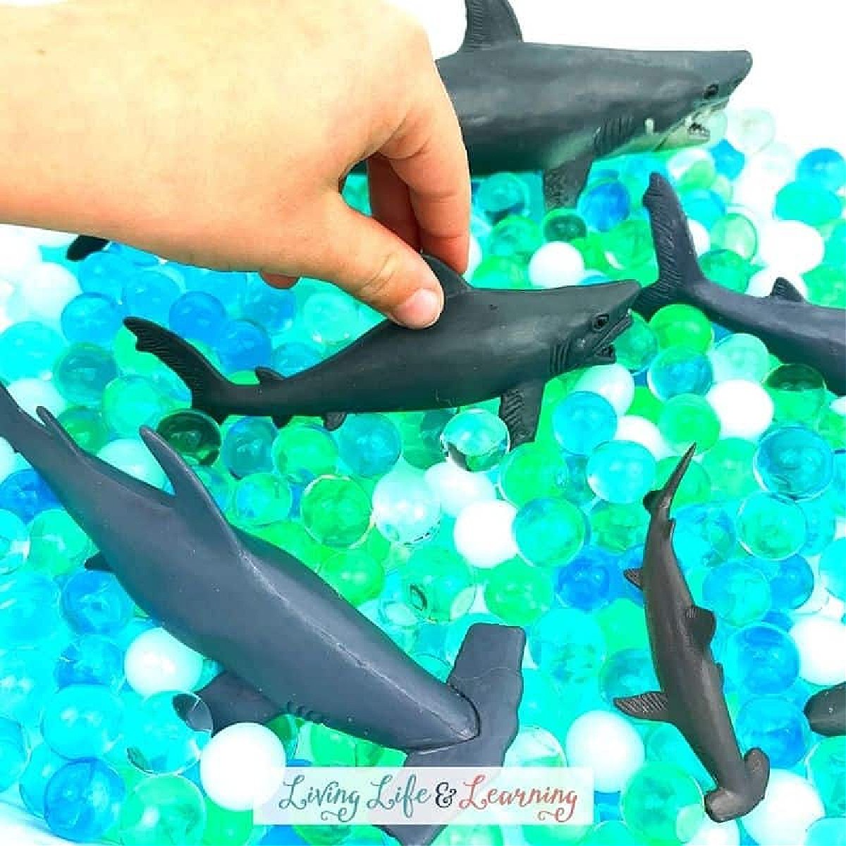 Shark Sensory Bin- Sharks in water beads that are green, white and blue- kids activities blog
