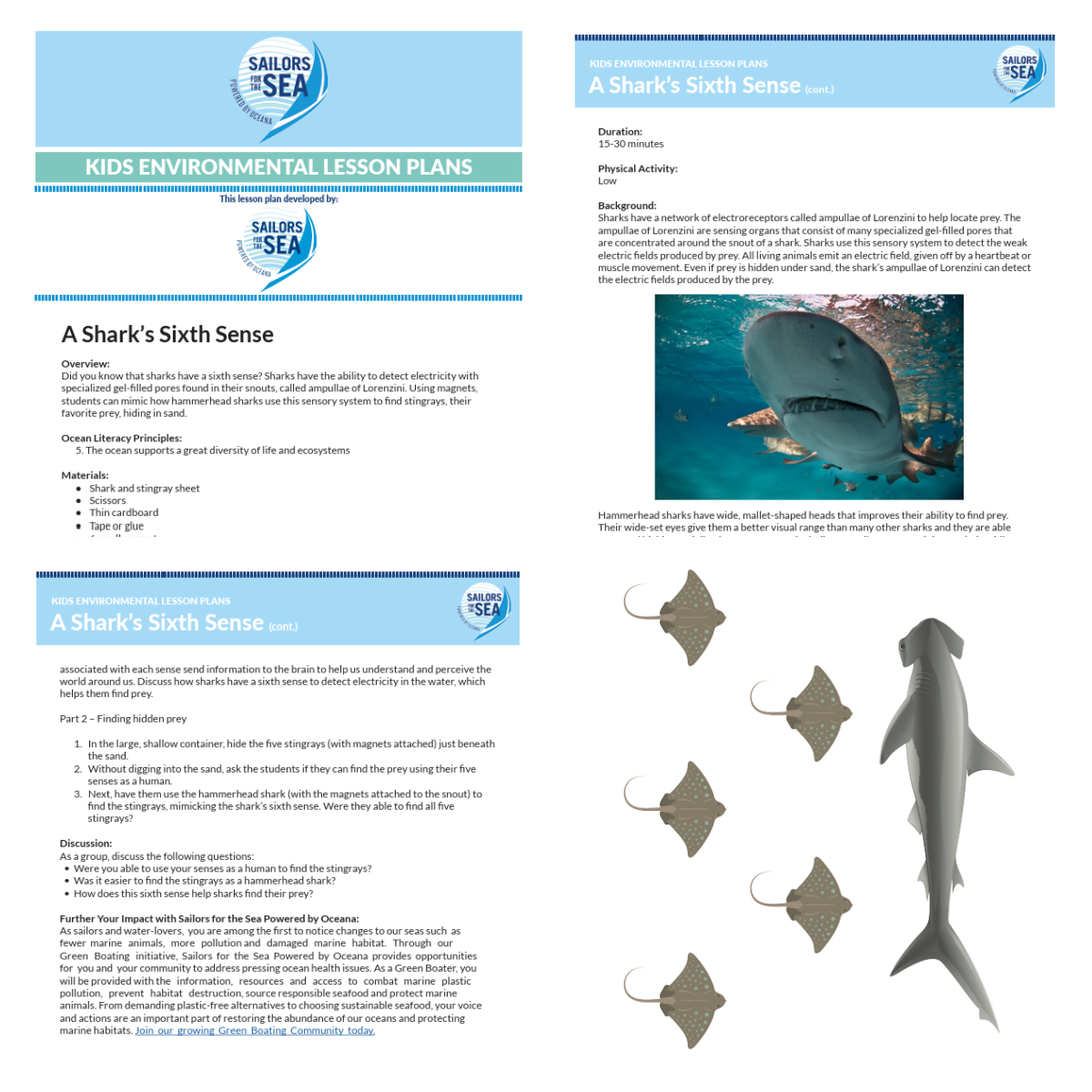 Shark Science- printed pdf files blue and white with text and images of sting rays and sharks- kids activities blog