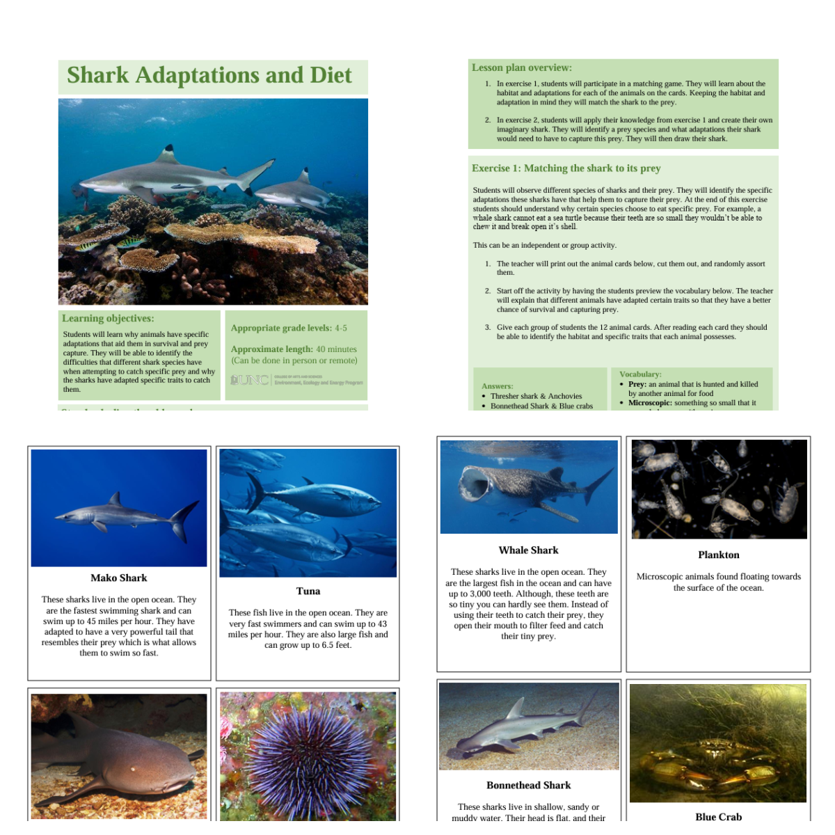 Shark Science- Printables with text, green, and images of sea life printed pdf file- kids activities blog