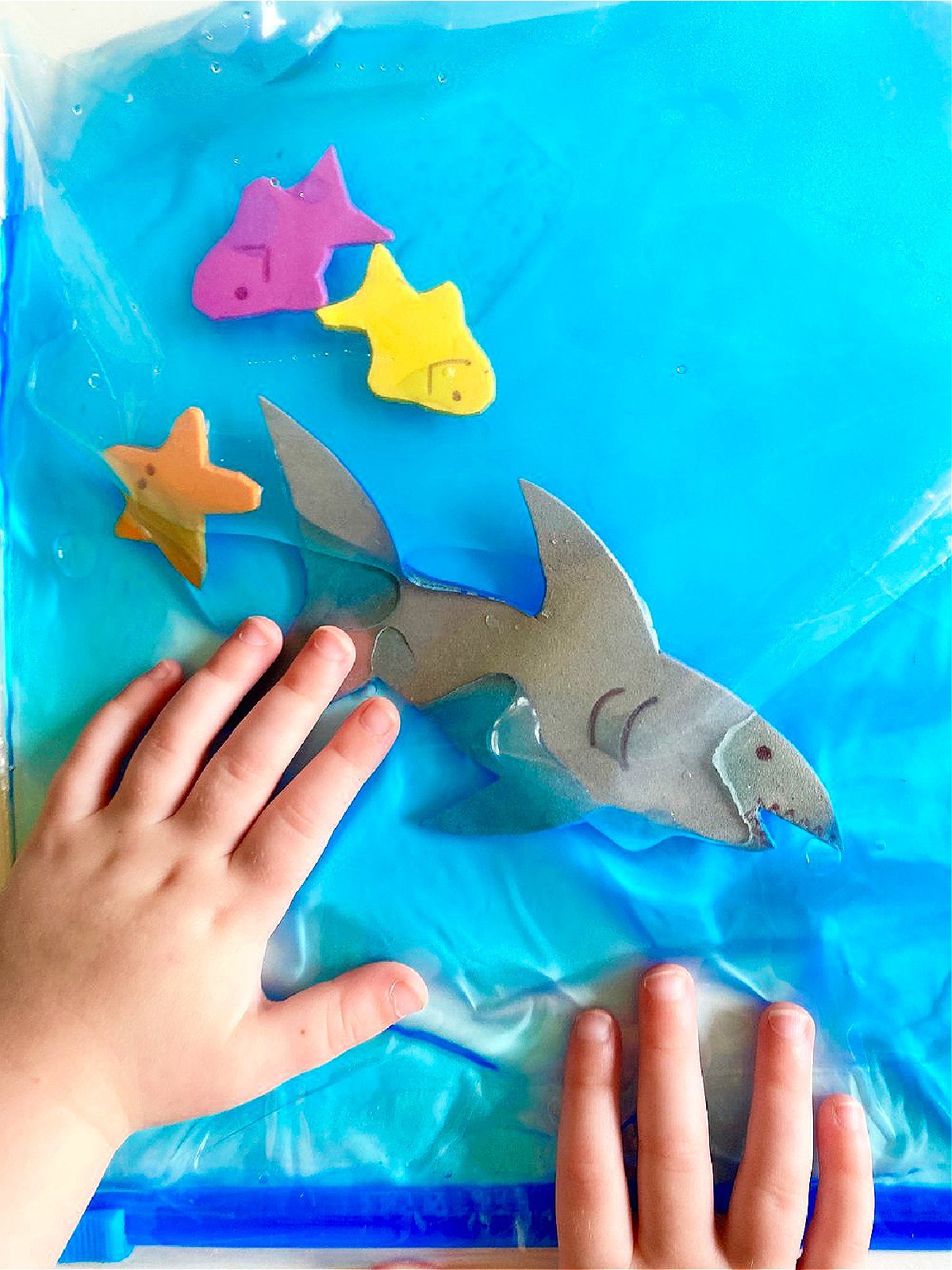 Shark Sensory Bag- Foam sharks and sea creatures in a light blue bag- kids activities blog