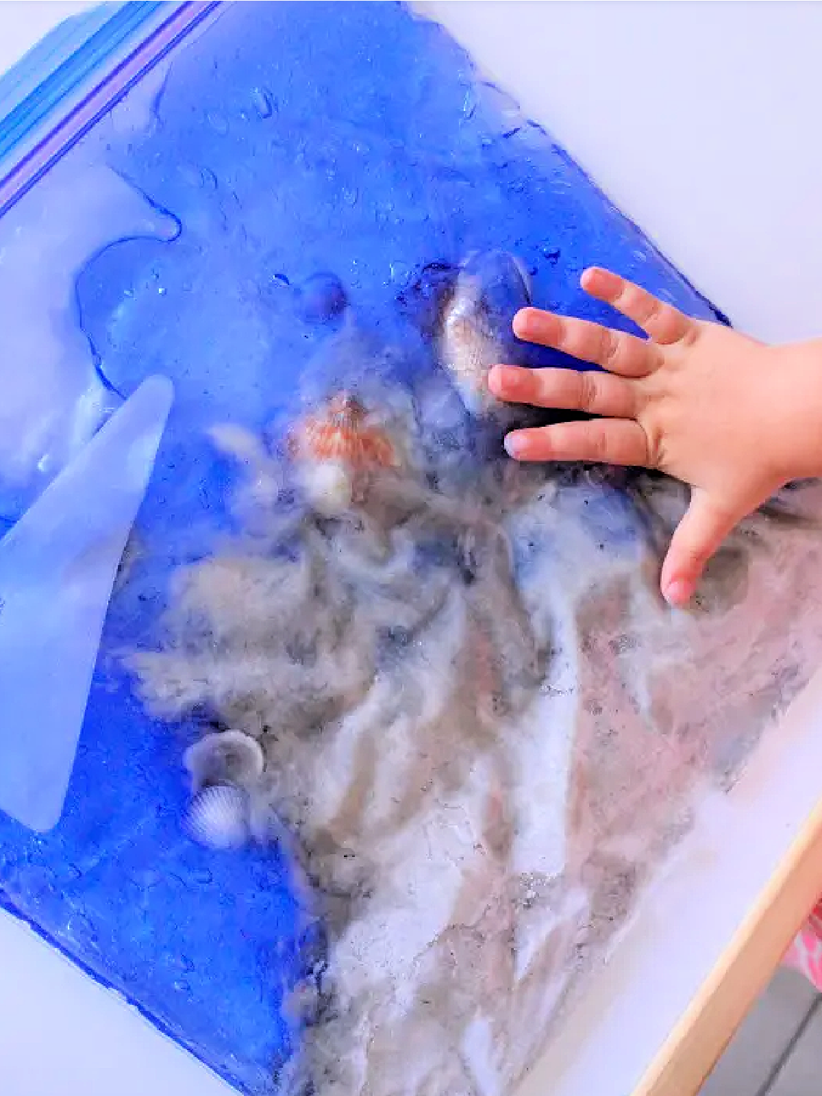 Shark Sensory Bag- Dark blue, sand, and sea creatures in a bag- kids activities blog