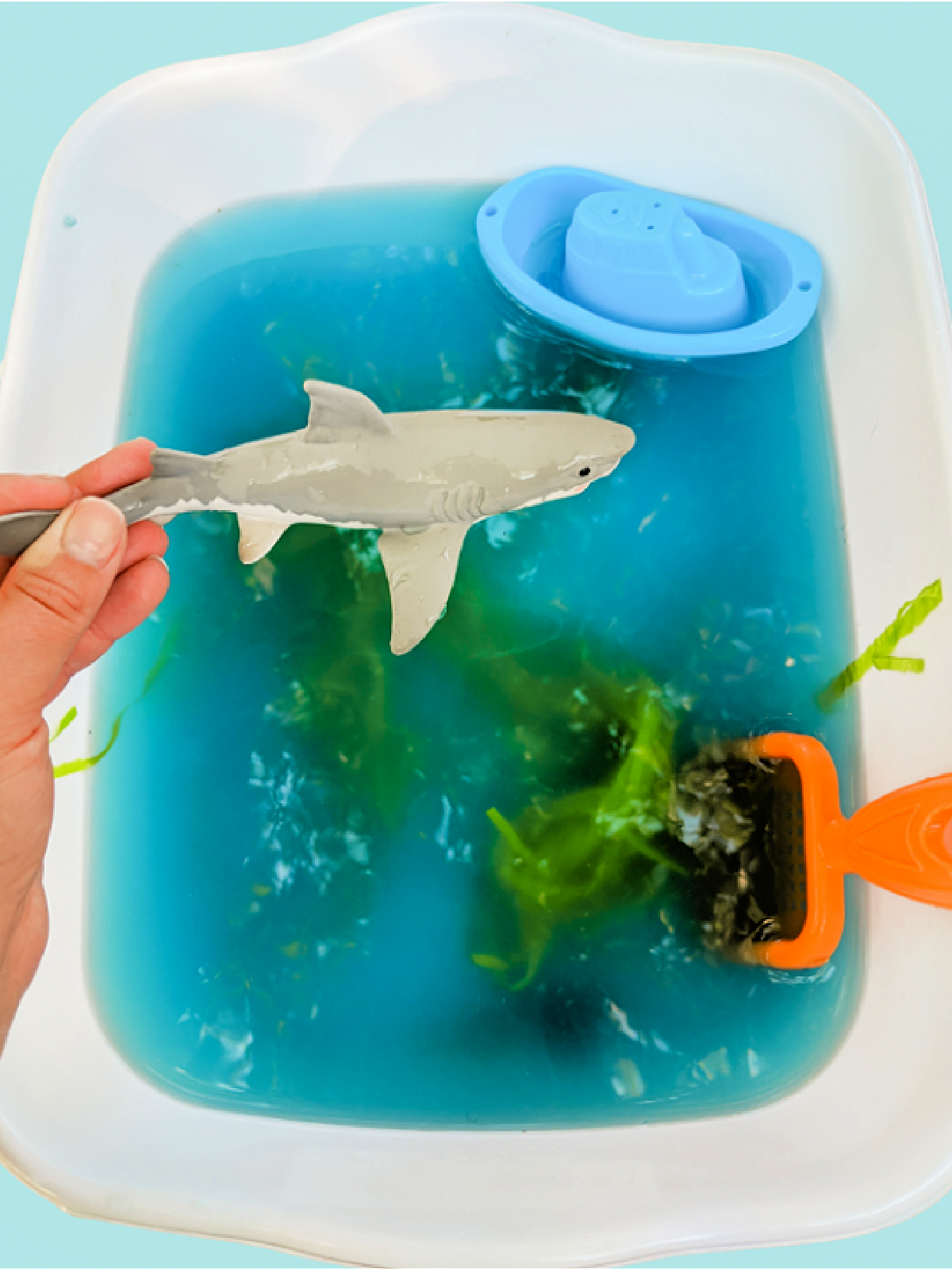 Shark Sensory Bin- A white tub wit ha boat, seaweed, and spoon, and sand with a hand holding a shark- kids activities blog