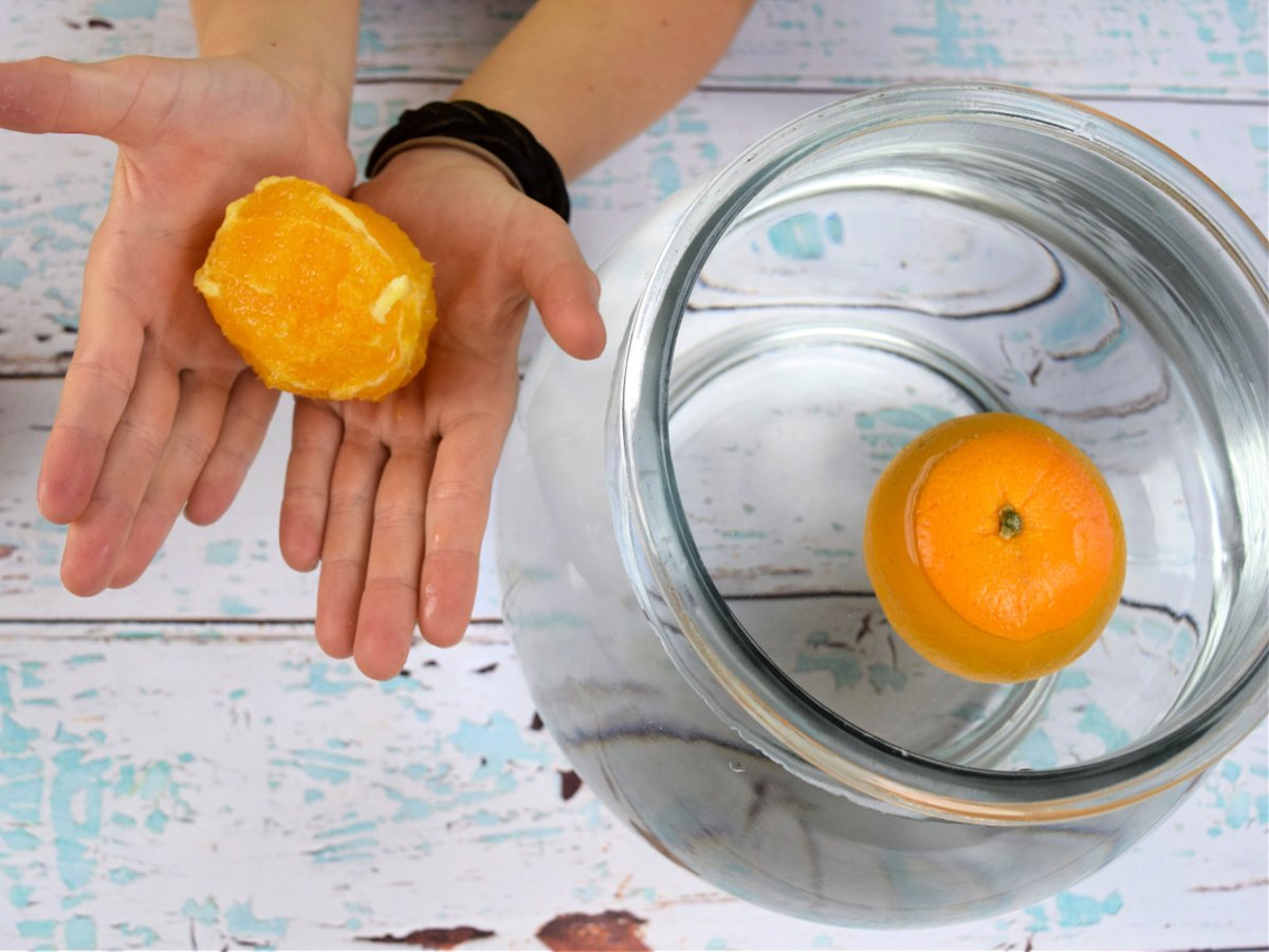 Buoyancy Experiment- Step 3 and 4- put peeled orange in hand and unpeeled in water- kids activities blog