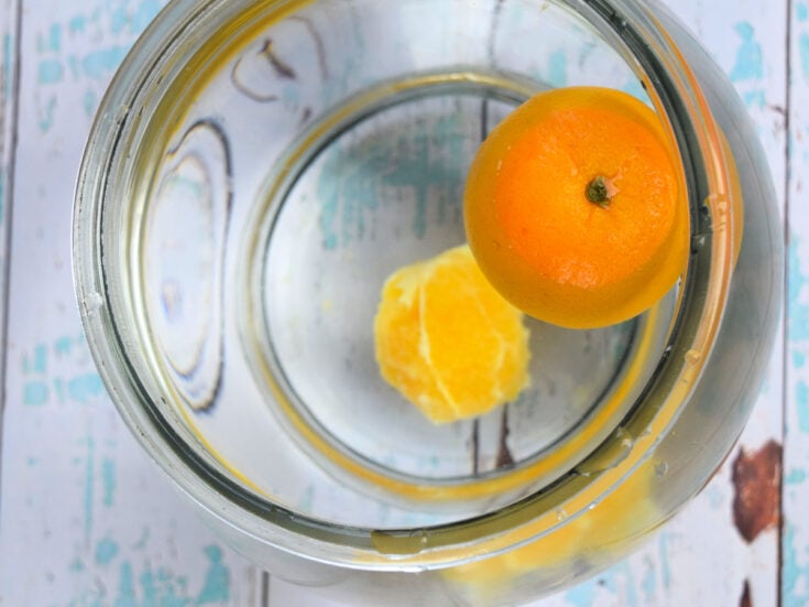 Orange Science Experiment Teaching Density and Buoyancy
