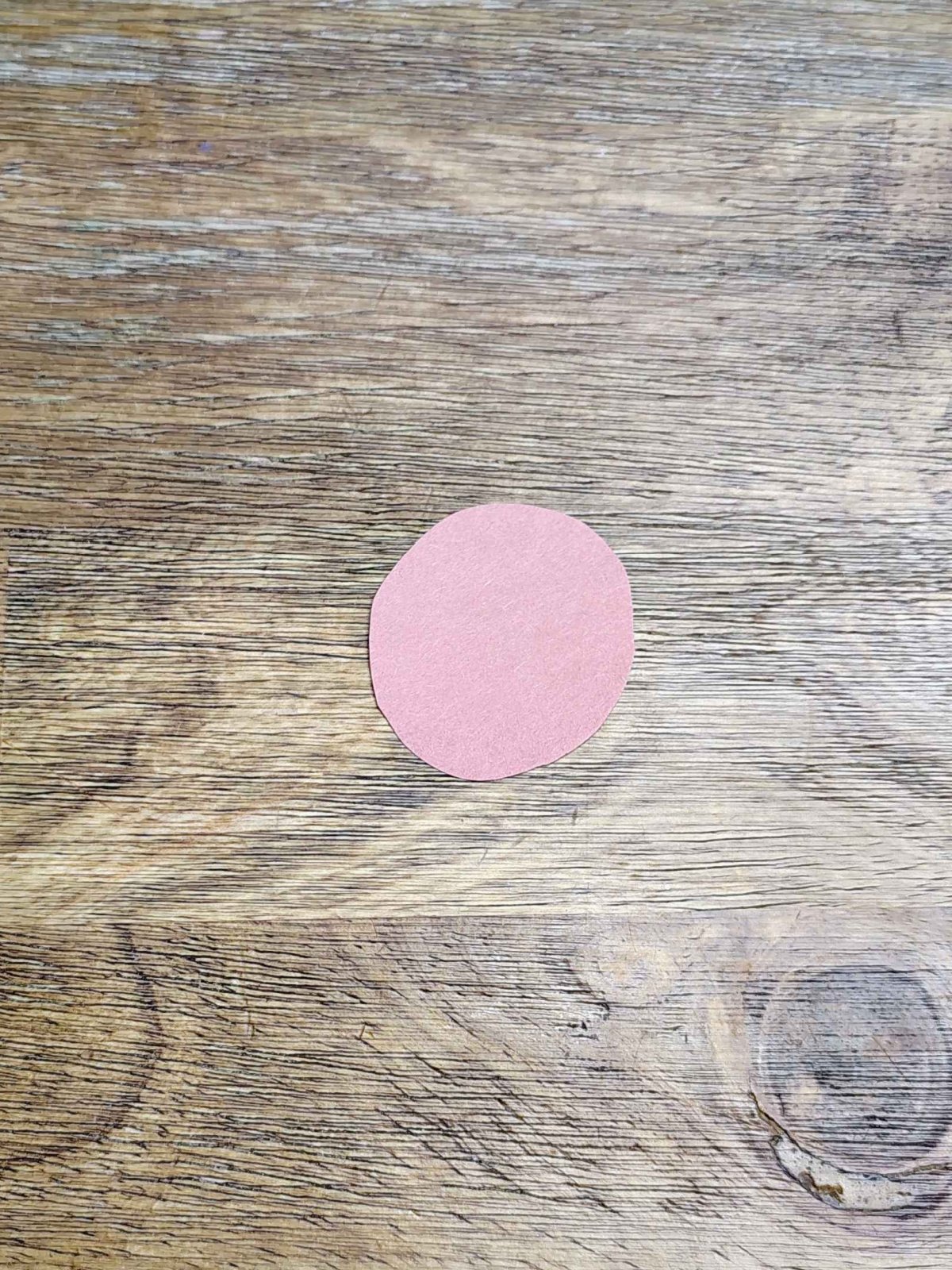 Turkey Craft- Step 1- brown circle construction paper- Kids Activities Blog