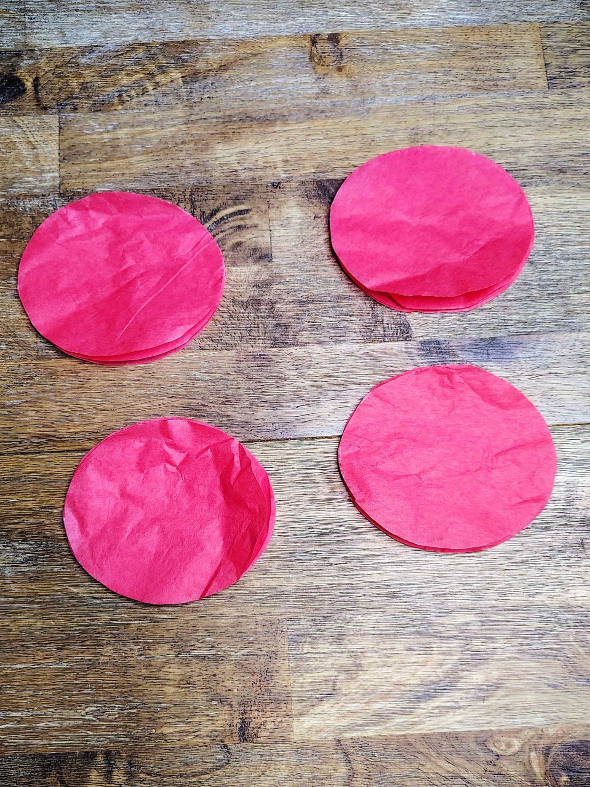 Veterans Day Poppy Craft- Step 3- Cut the red circles out- Kids Activities Blog